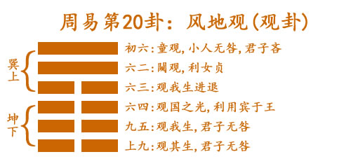 20 風(fēng)地觀(觀卦).jpg