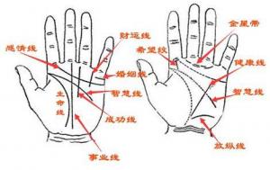 手相怎么看愛情，哪種手相的人不懂浪漫？