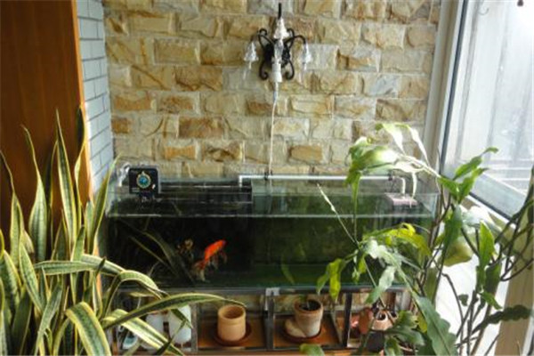 魚缸擺放風水