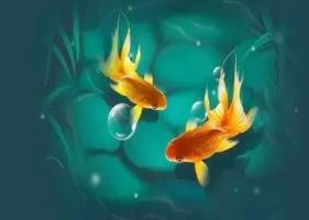 風(fēng)水魚養(yǎng)幾條好旺財