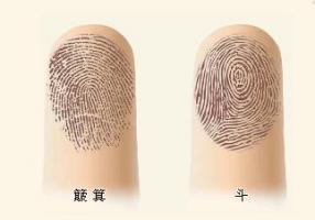 根據(jù)指紋，為你算命，解密手指頭下的人生秘密
