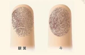 兩位緣主，提供指紋樣式，算一下他們的命理運(yùn)勢(shì)
