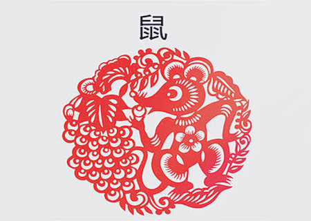 屬鼠辦公室放什么植物旺財
