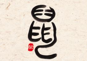 屬鼠女人生于幾月偏財運(yùn)好 