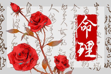 屬猴1992劍鋒金命詳解 友情方面表現(xiàn)不順