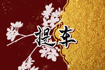 免費(fèi)測(cè)提車(chē)吉日?2024年臘月生肖羊接新車(chē)什么日子最好