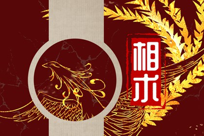 面相男人下巴尖 下巴尖忌諱什么