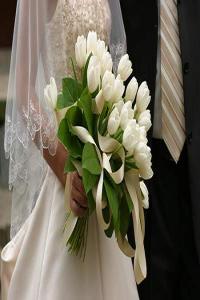 2024年哪些人八字適合結婚