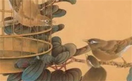手機(jī)號碼招桃花數(shù)字 女性手機(jī)號桃花運(yùn)最強(qiáng)