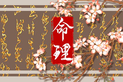 2024年龍年出生運(yùn)勢如何 事業(yè)運(yùn)勢解析