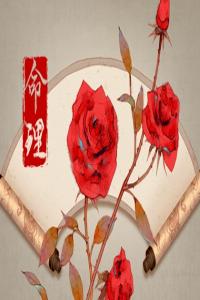 2024幾月出生最好的 農(nóng)歷四月