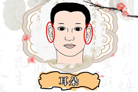 天生無耳垂的人命運如何,無耳垂的面相