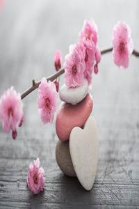 壬水日干的人一生運(yùn)勢如何