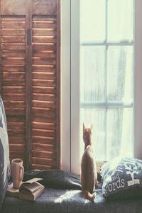 丁火日干的人一生運(yùn)勢如何