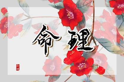 爐中火命的貴人是誰