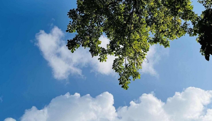 2024年5月5日是什么日子 每年5月5日是什么節(jié)日