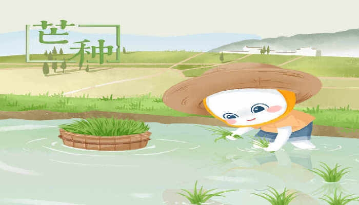 2024年6月5日是什么日子 每年6月5日是什么節(jié)日