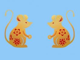 屬鼠人2024年財(cái)運(yùn)如何