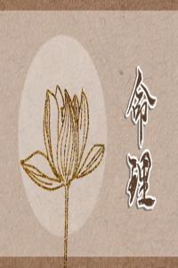 松柏木命幾月生好 農(nóng)歷三月出生才華無人能比