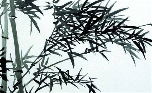 數(shù)字能量學(xué)手機(jī)號解析 手機(jī)號碼看性格事業(yè)財運(yùn)