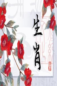 2024年最好生肖排行 第一屬蛇人