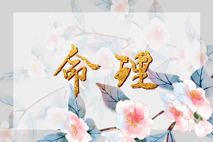 2024年適合結(jié)婚八字 庚子日柱女命