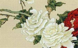 手機(jī)號(hào)碼5559什么意思 手機(jī)尾號(hào)5558含義