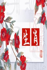 屬豬的生肖婚姻配 屬豬的月份屬相婚配表