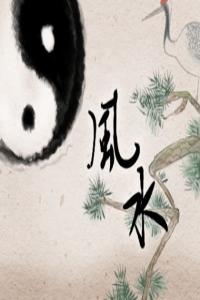 車牌號(hào)4代表什么含義 吉利的二位數(shù)組合