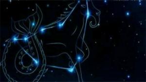 哪個(gè)星座能駕馭摩羯座