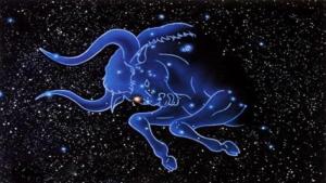 越長越美的上升星座是誰