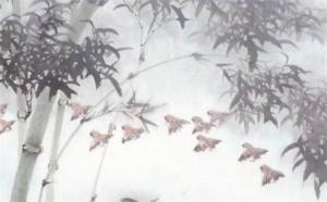 為啥手機(jī)號0和5不能選 手機(jī)號最旺財?shù)奈矓?shù)