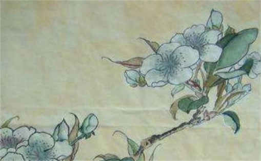 手機(jī)尾號9003好不好 吉利手機(jī)號碼查詢免費