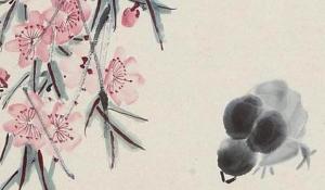 客廳電視兩邊擺什么植物旺財(cái) 發(fā)財(cái)樹紅掌財(cái)源滾滾