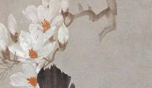 貓砂盆放門口影響風(fēng)水嗎 不影響要謹(jǐn)慎選擇貓砂