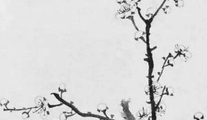 客廳沙發(fā)對面墻上掛什么畫好 花開富貴繁榮昌盛