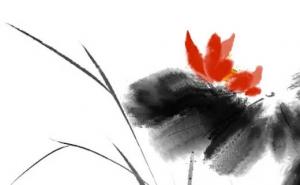 卜算子算命網(wǎng)