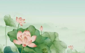 卜算子算命網(wǎng)