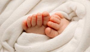 100個出自詩經(jīng)楚辭女孩名 詩經(jīng)楚辭中的女孩靈動名字