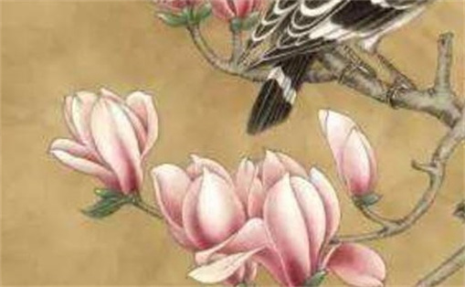2024年農(nóng)歷正月初三出生的人命運(yùn)如何 運(yùn)勢開通福祿豐盈