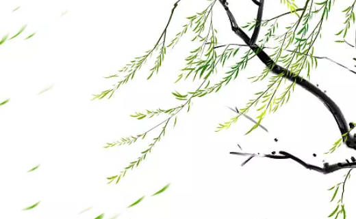 農(nóng)歷2024年正月十二是什么節(jié)日 這天有什么風(fēng)俗