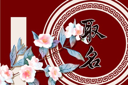 洋氣的姓袁男孩名字大全 袁姓男孩起名霸氣十足