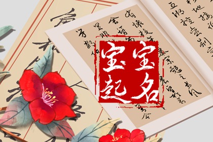 賈姓好聽(tīng)稀少的男孩名字 賈姓男寶寶名字大全2023屬兔