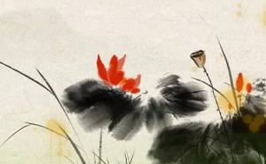 卜算子算命網(wǎng)