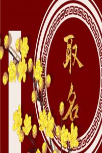 陳姓好聽稀少的男孩名字2023 陳姓屬兔男孩取名