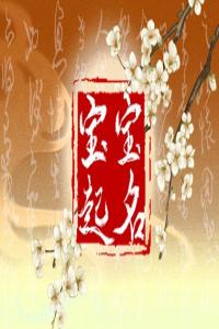 2024屬龍寓意好的名字男孩 男孩兒大氣陽剛的名字