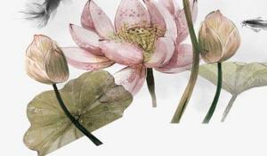 卜算子算命網(wǎng)
