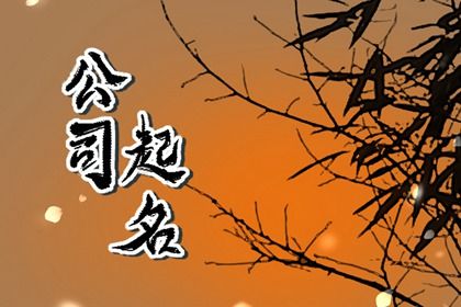 2024龍年高大上的企業(yè)名字大全