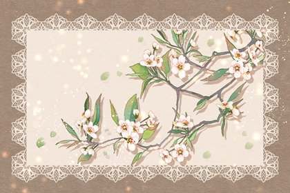 今年比較受歡迎的甜品店名字