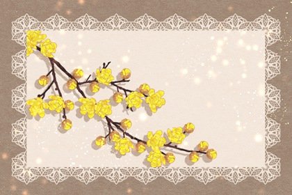 2024龍年獨(dú)特好聽(tīng)的帽子店名字